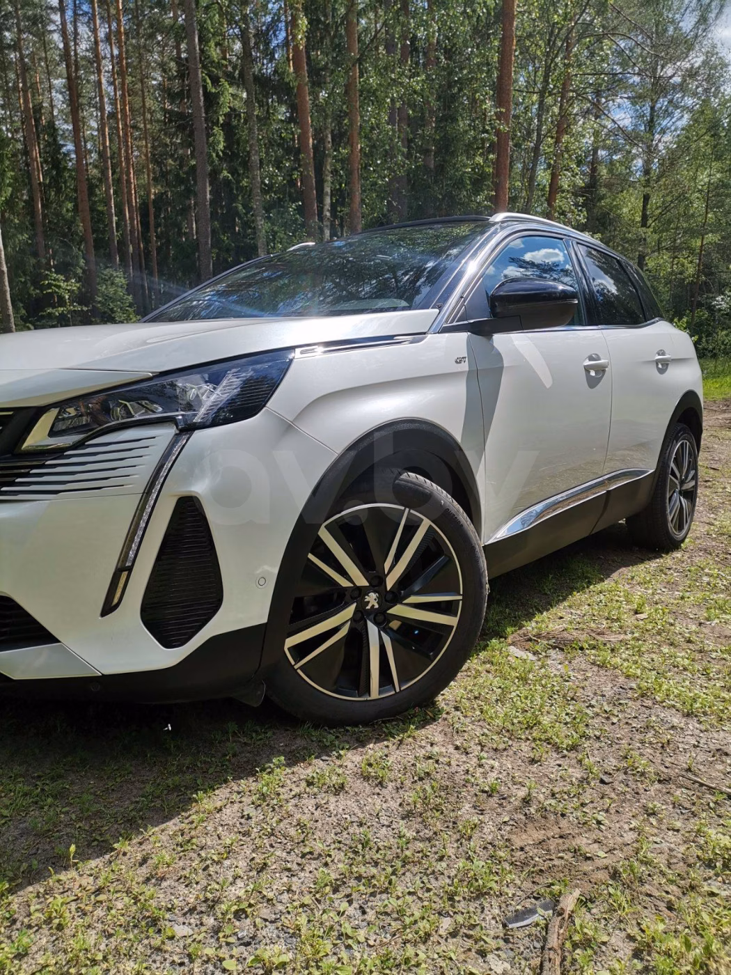 Peugeot 3008 фото 6
