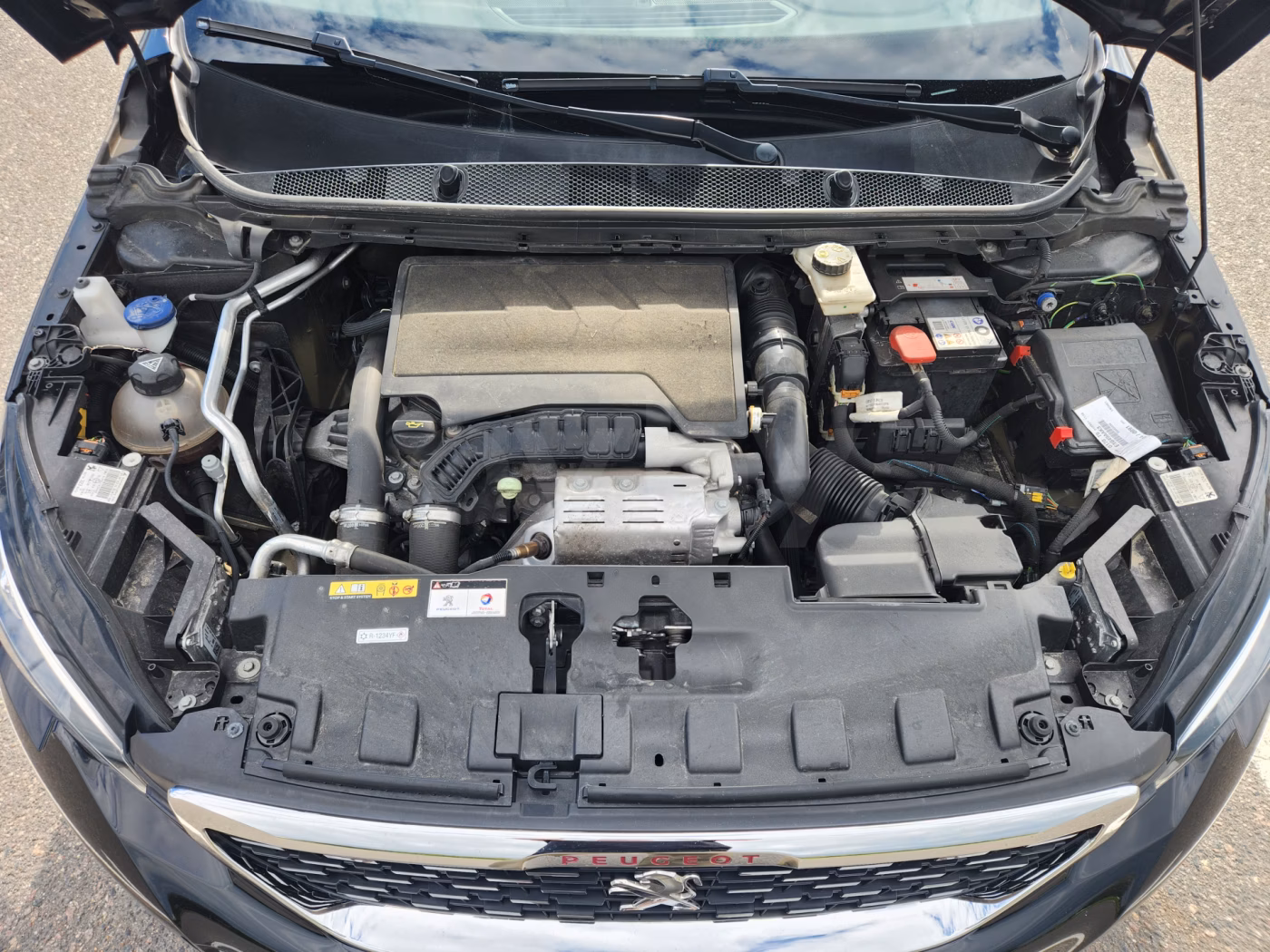 Peugeot 308 фото 24