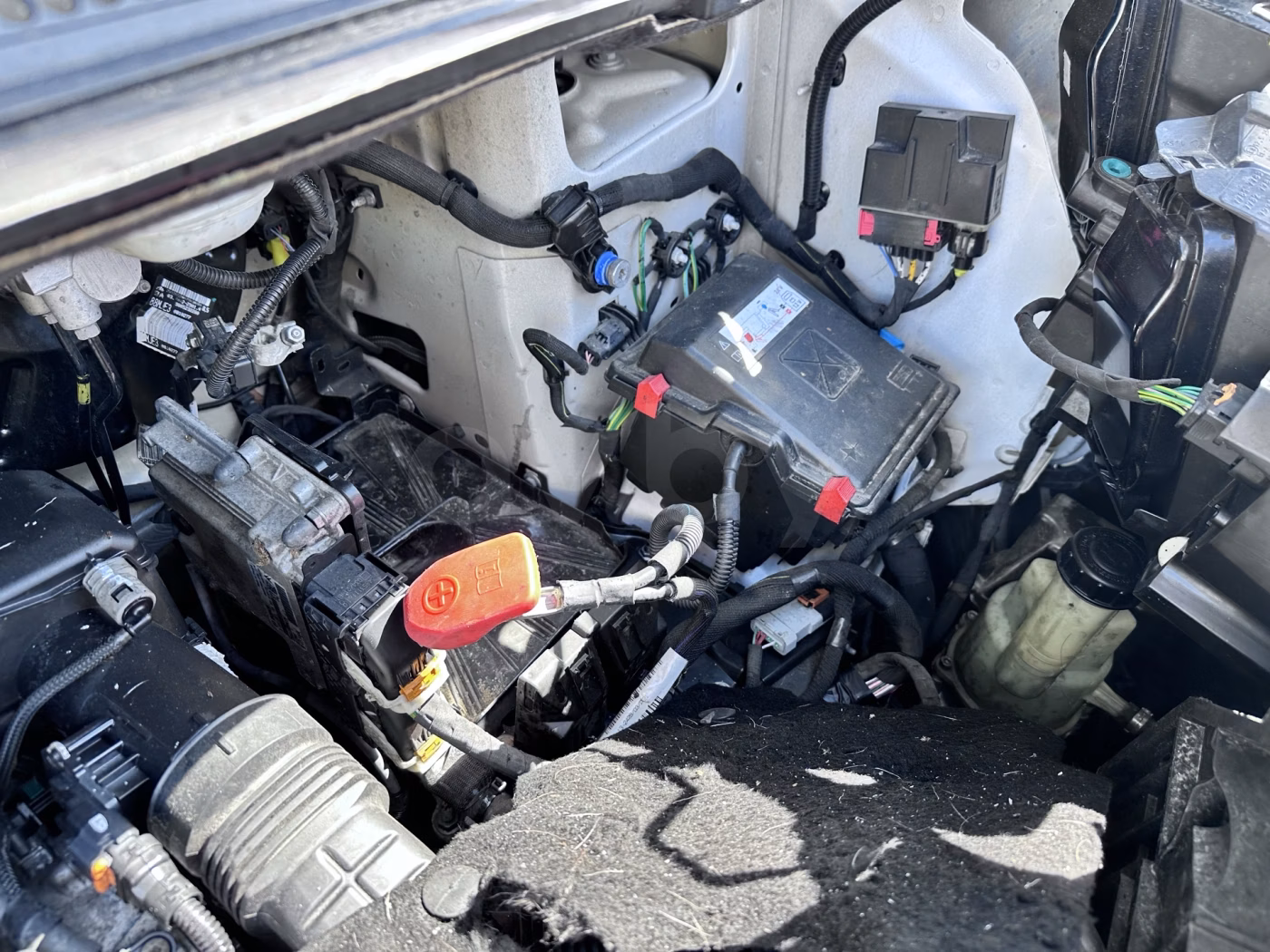 Peugeot Expert фото 18