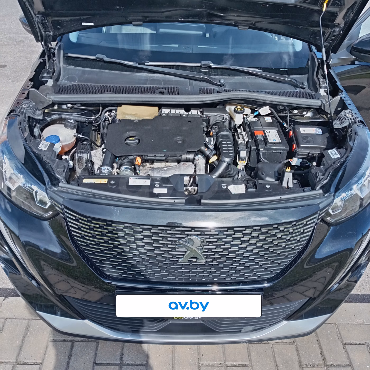 Peugeot 2008 фото 8