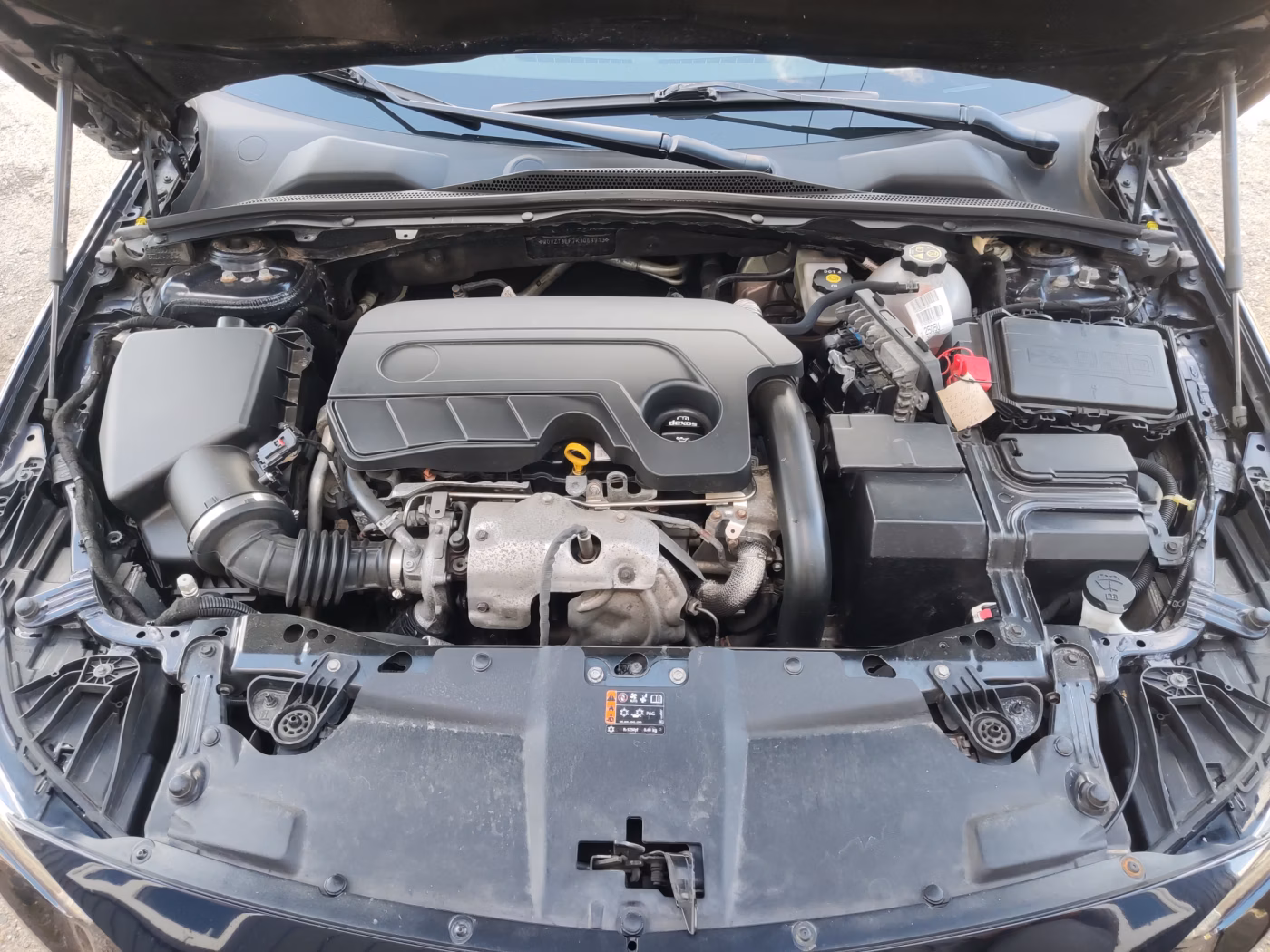 Opel Insignia фото 14