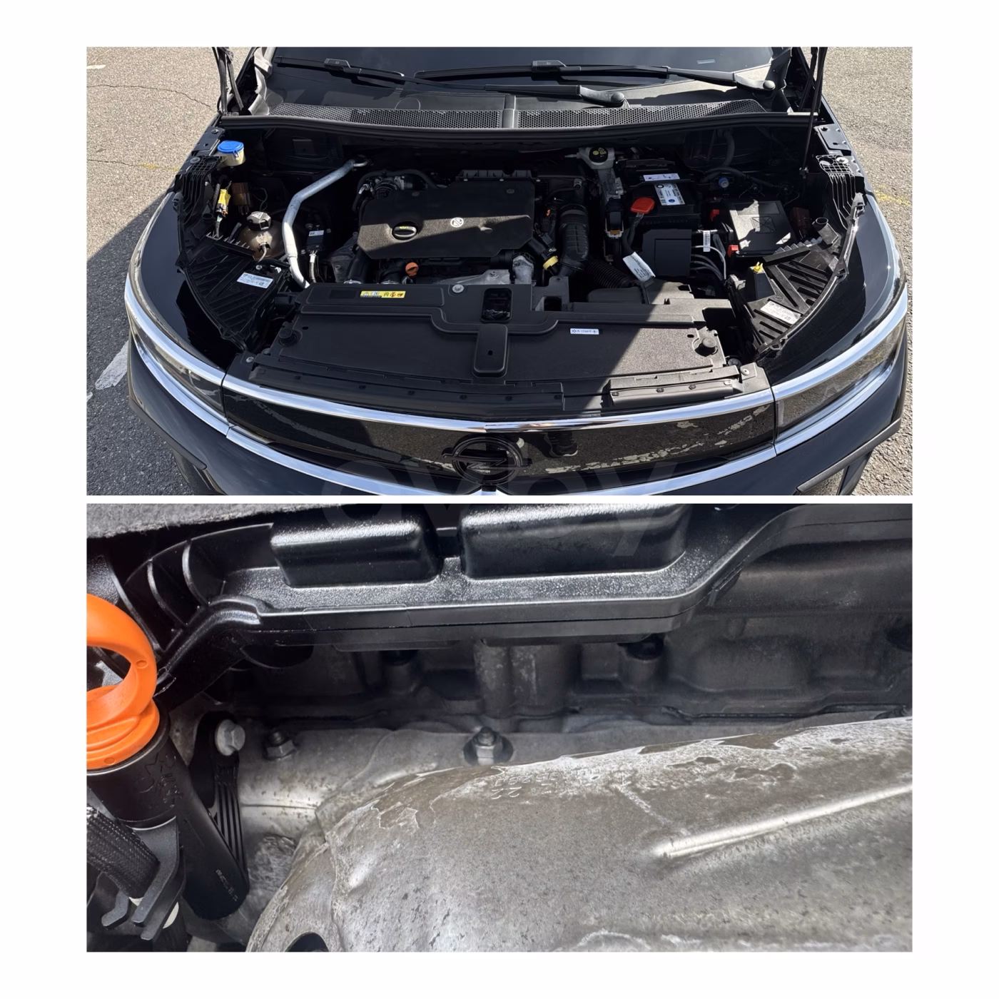 Opel Grandland X фото 25