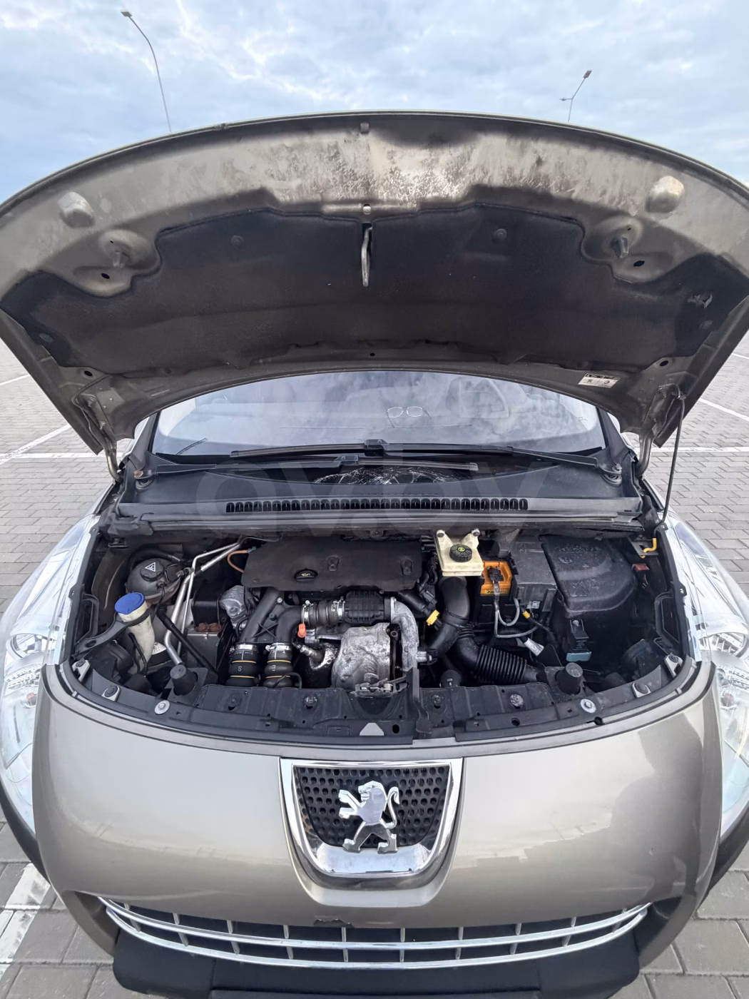 Peugeot 3008 фото 15