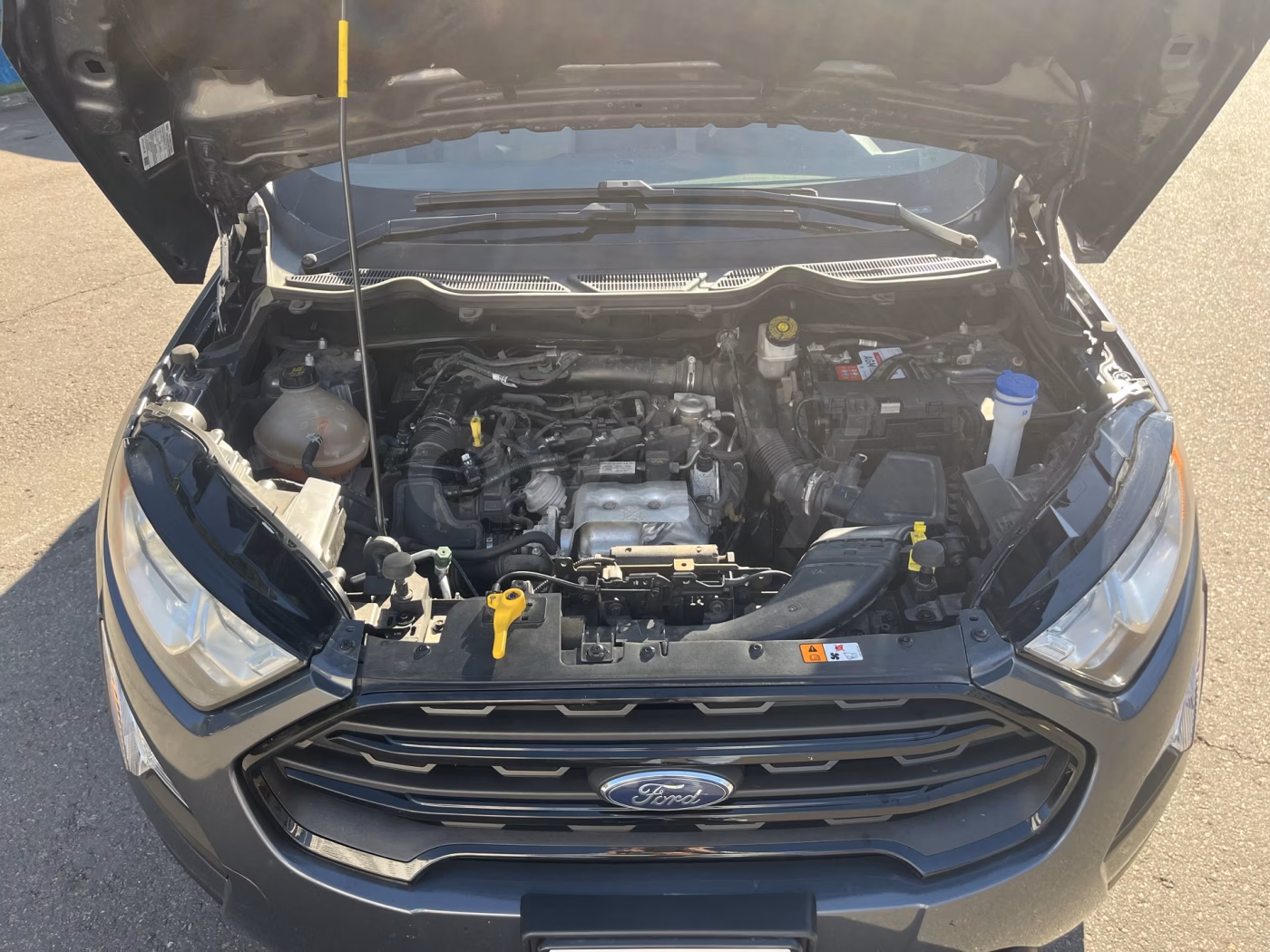Ford EcoSport фото 15