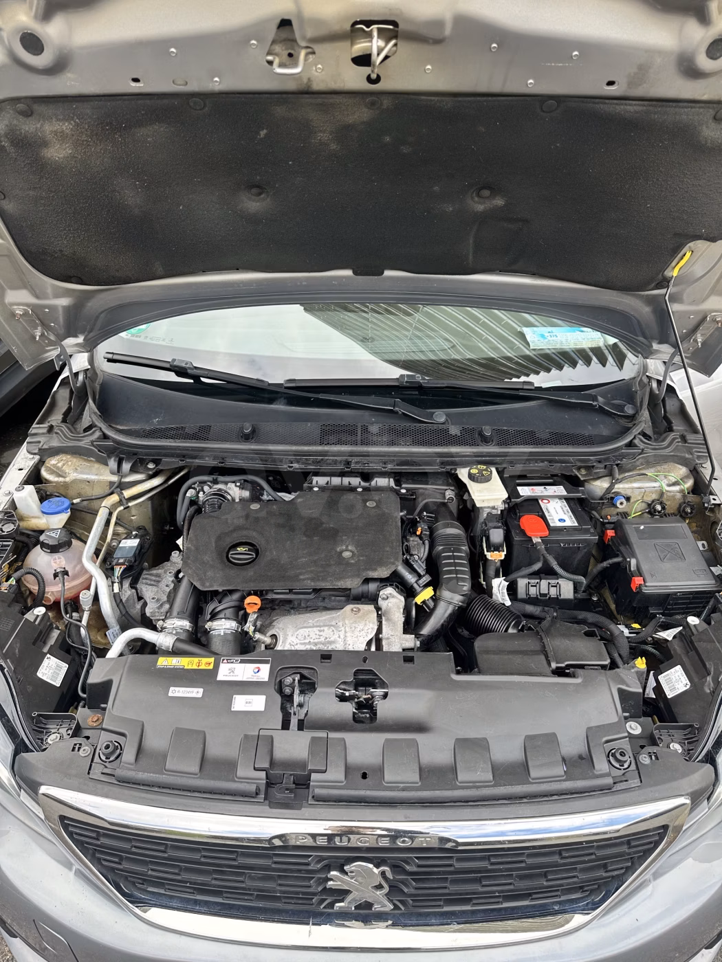 Peugeot 308 фото 10