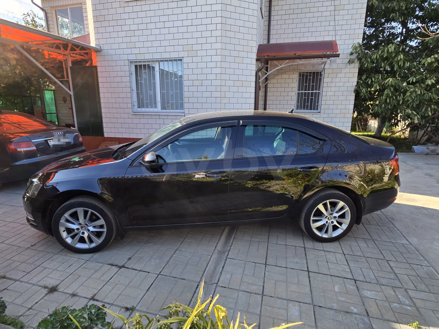 Skoda Octavia фото 5