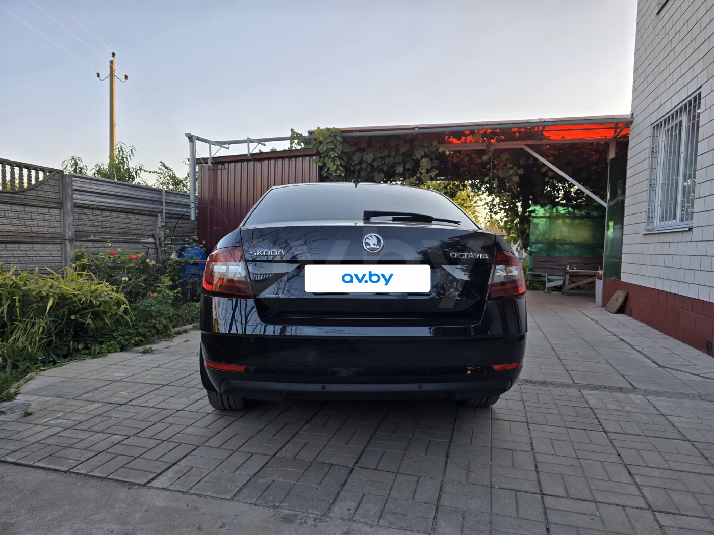 Skoda Octavia фото 9