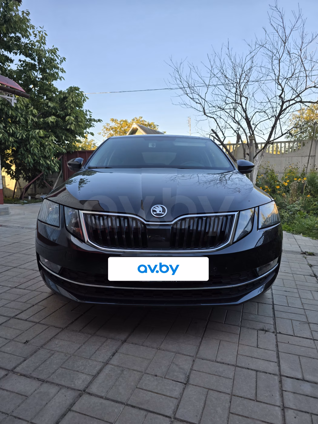 Skoda Octavia фото 8