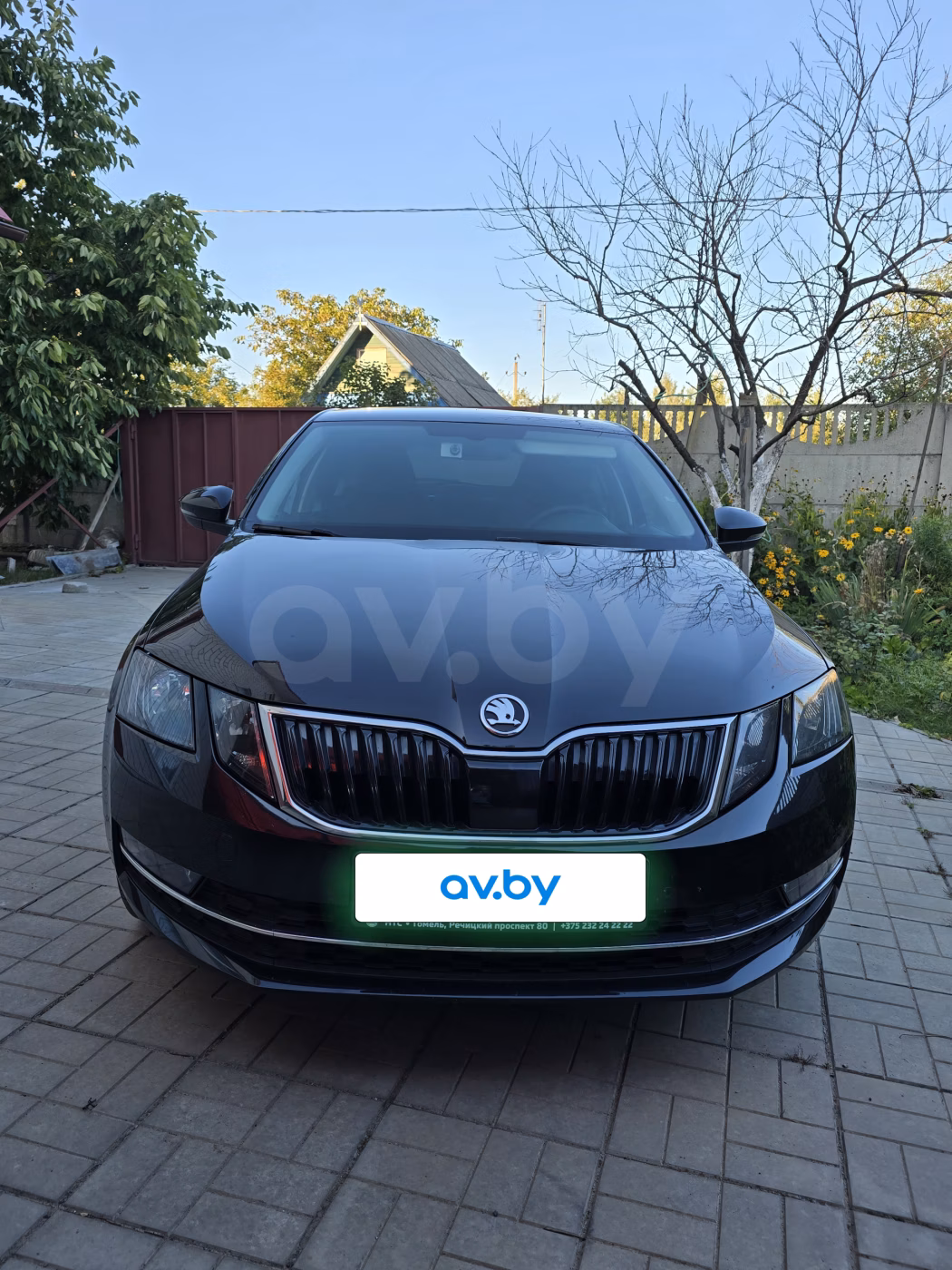 Skoda Octavia фото 6