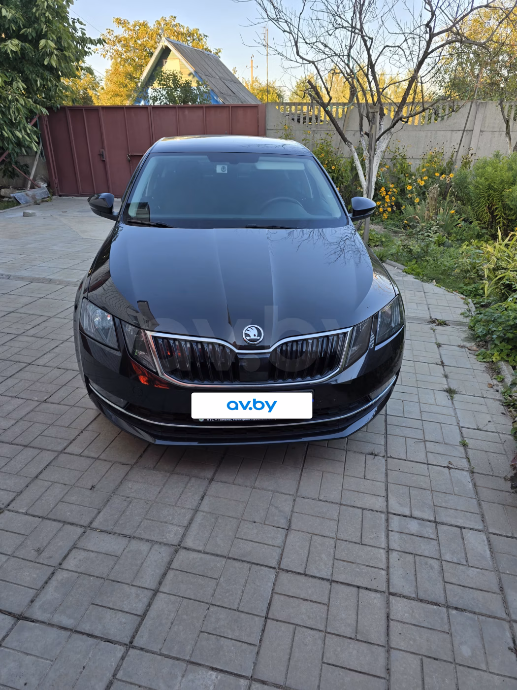 Skoda Octavia фото 7