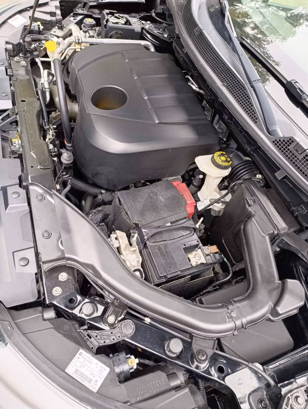 Renault Kadjar фото 24