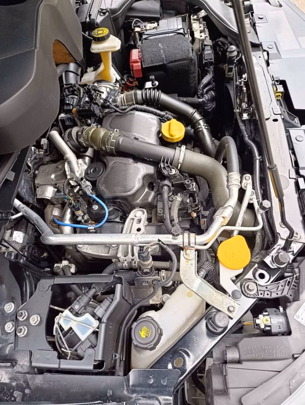 Renault Kadjar фото 26