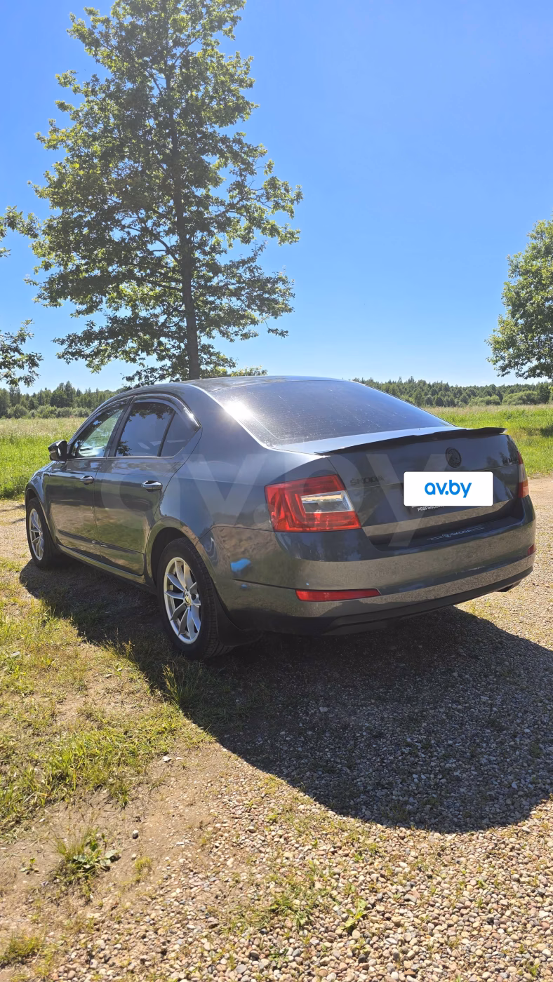 Skoda Octavia фото 3
