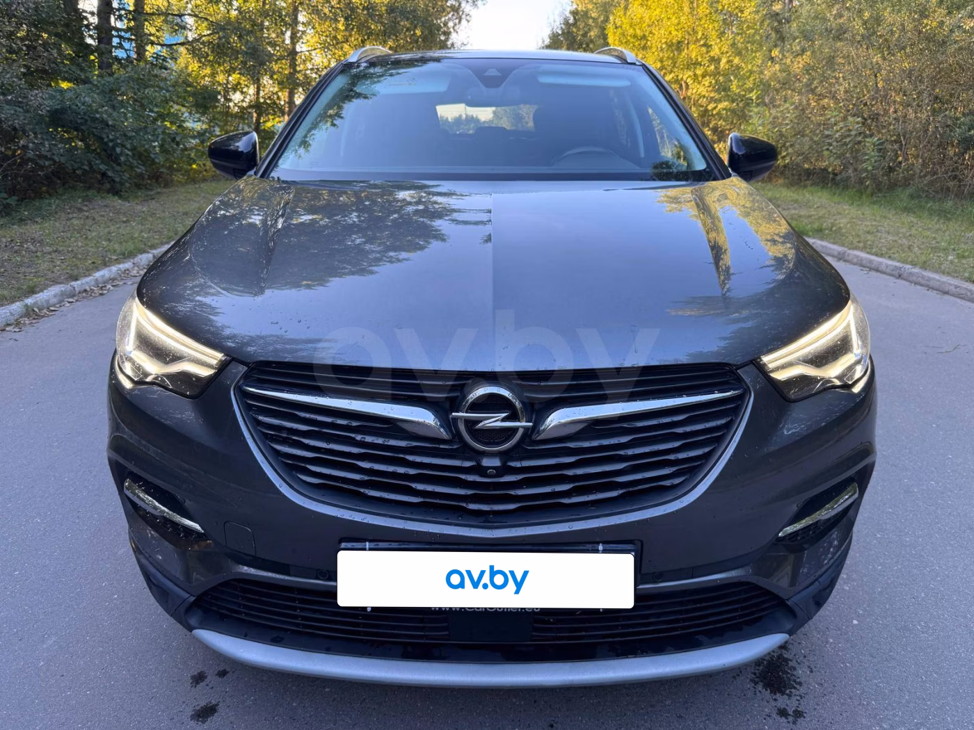 Opel Grandland X фото 5
