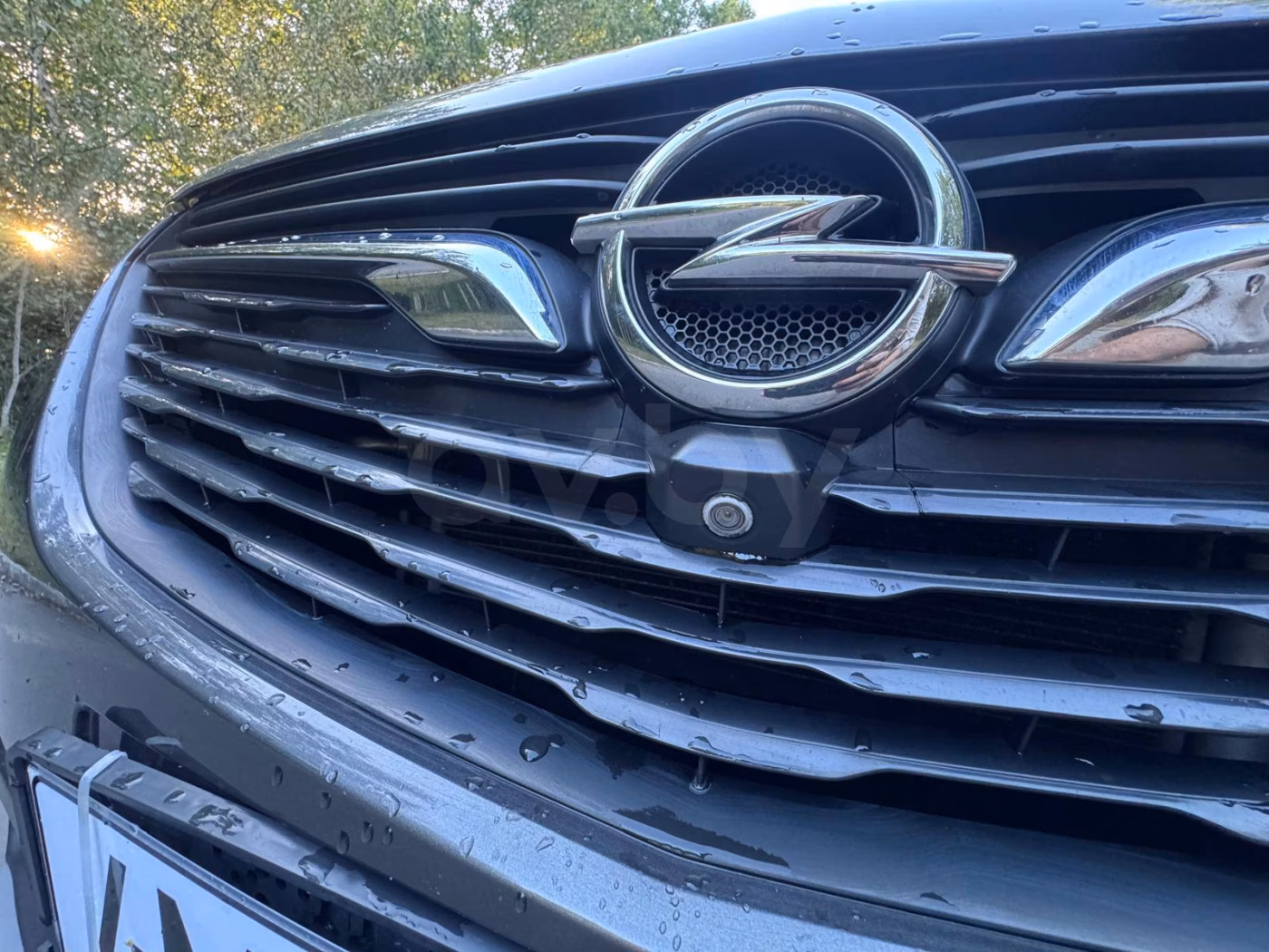 Opel Grandland X фото 19