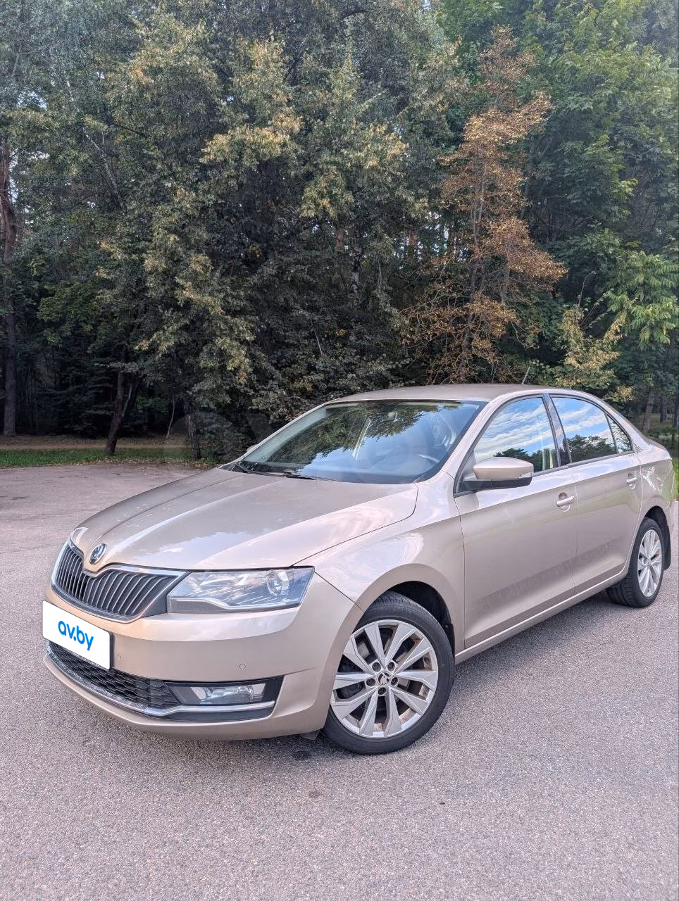 Skoda Rapid