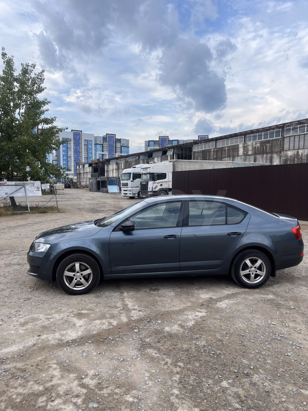 Skoda Octavia фото 3
