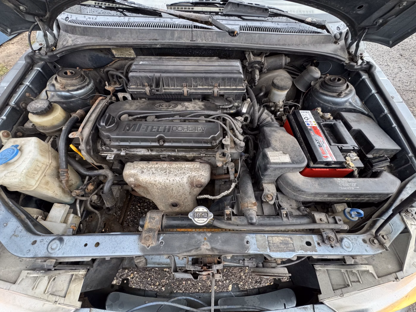 Kia Rio фото 28