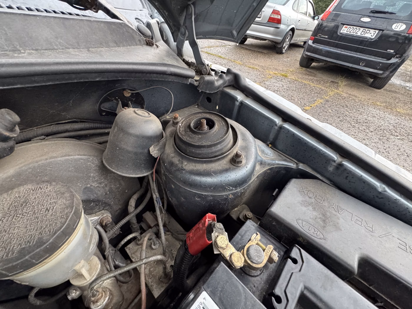 Kia Rio фото 30