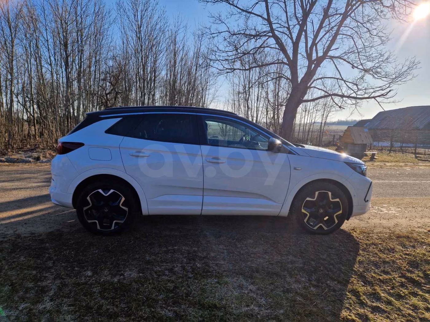 Opel Grandland X фото 3