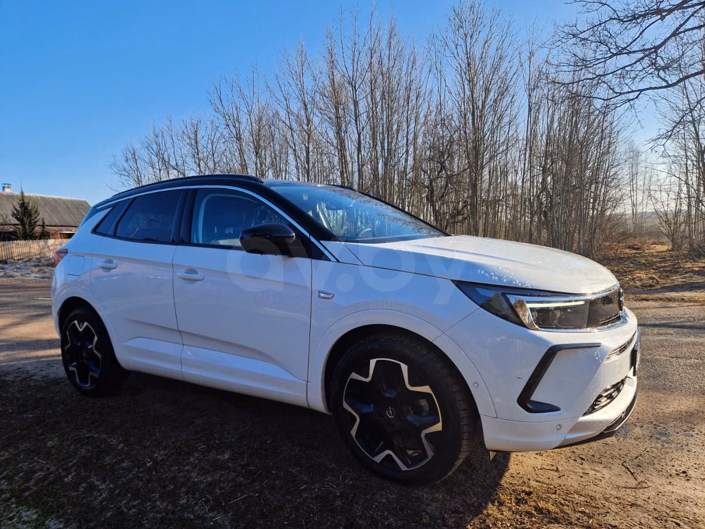 Opel Grandland X фото 4