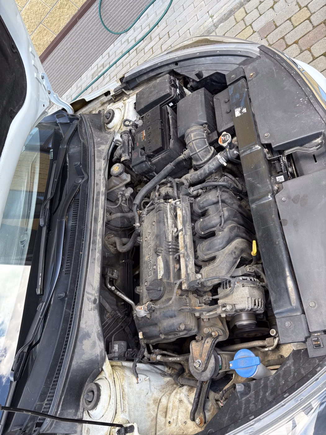 Kia Rio X (X-Line) фото 15