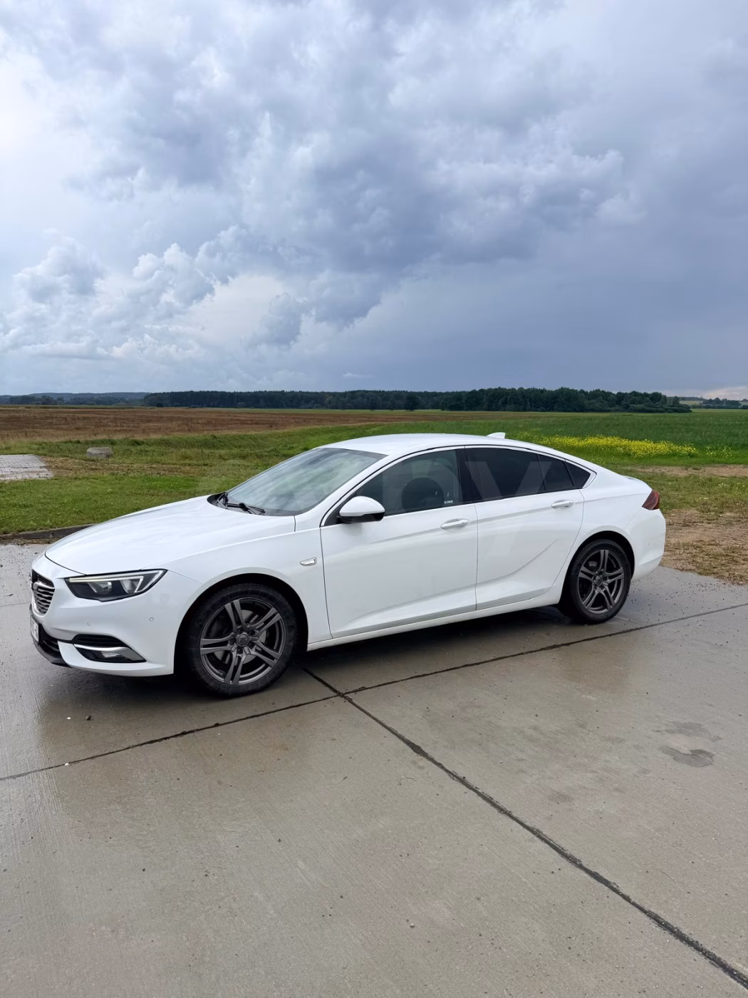 Opel Insignia фото 4