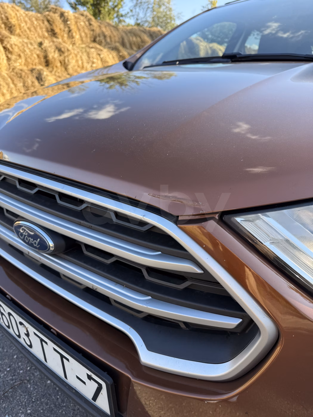 Ford EcoSport фото 5