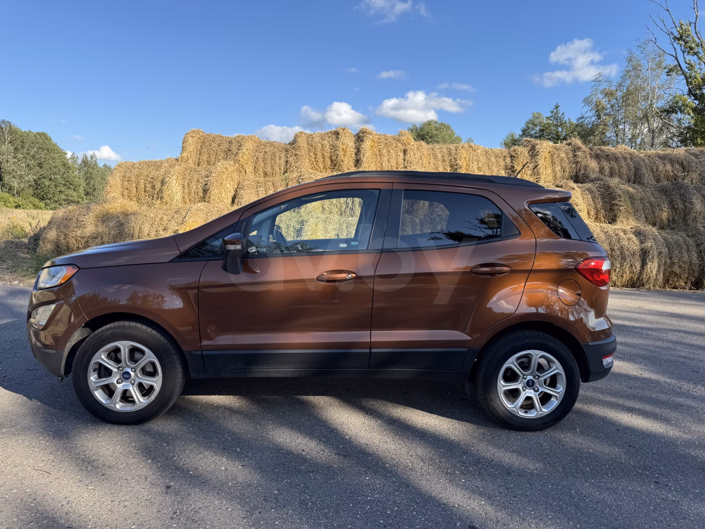 Ford EcoSport фото 3