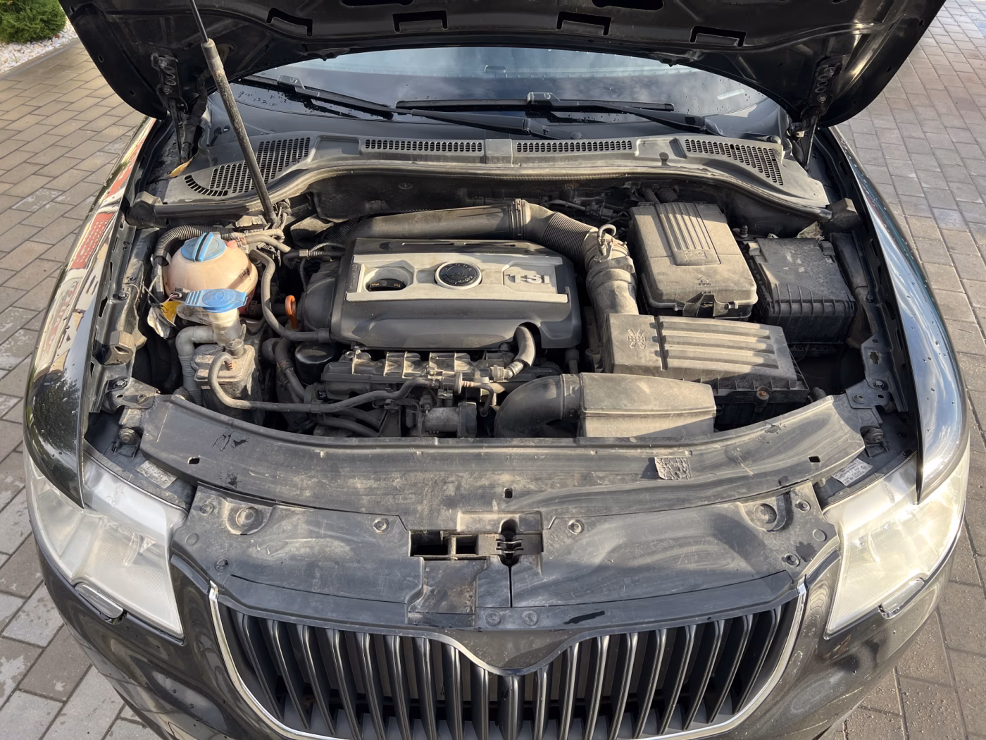 Skoda Superb фото 9
