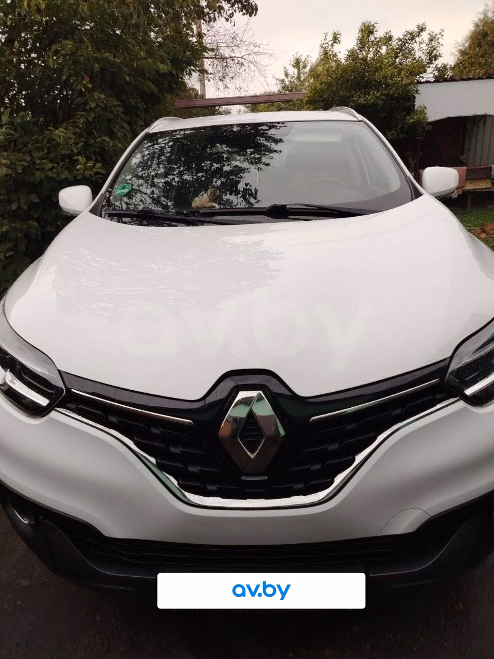 Renault Kadjar фото 2