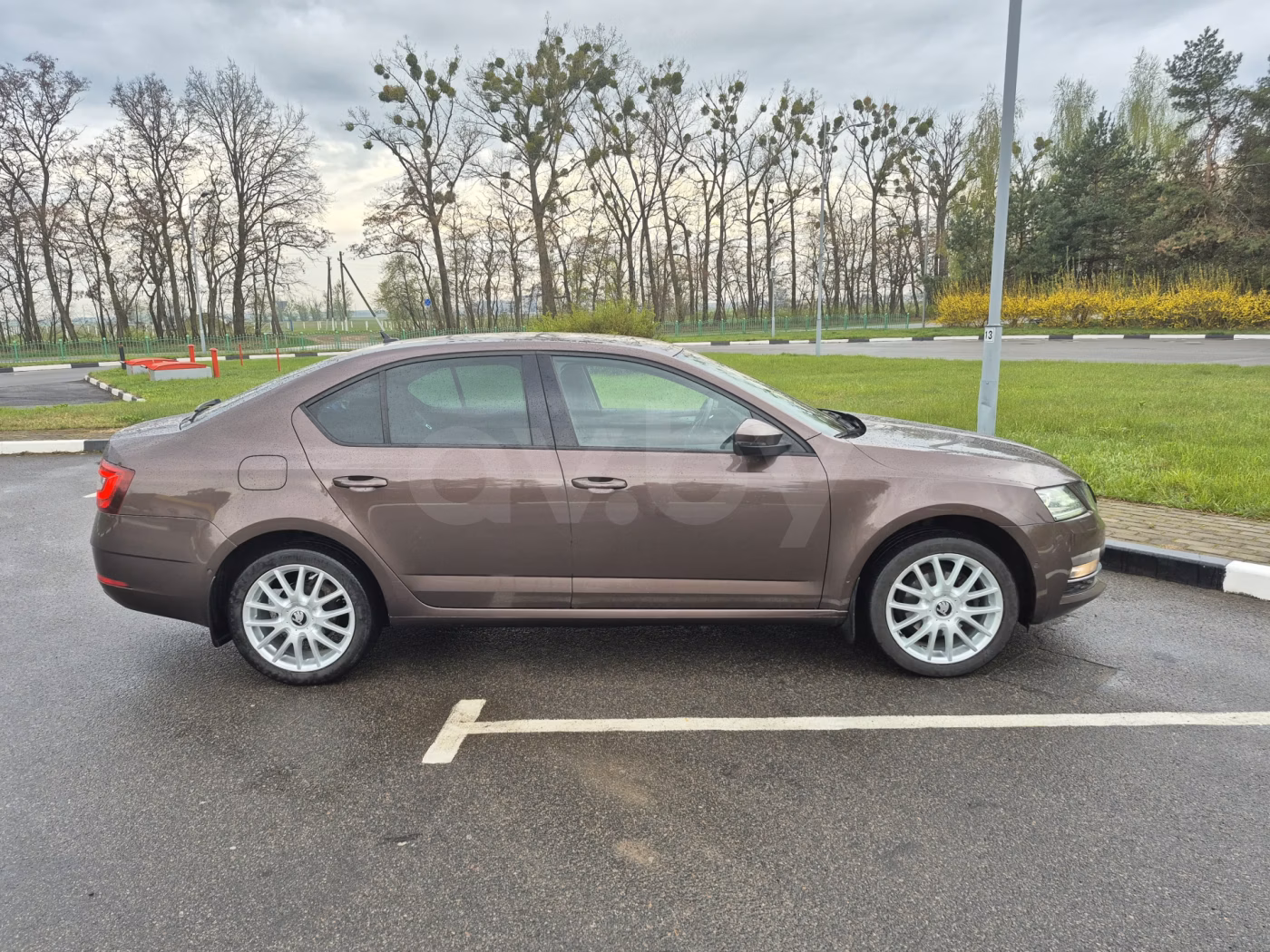 Skoda Octavia фото 2