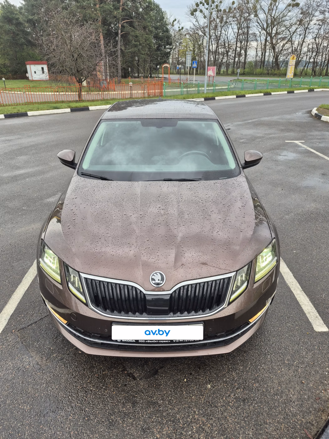 Skoda Octavia фото 3