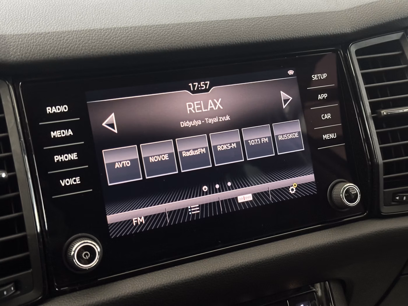 Skoda Kodiaq фото 14