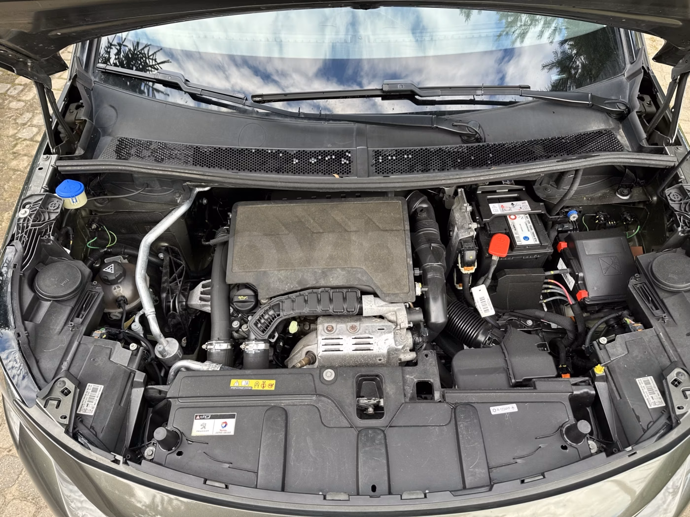 Peugeot 5008 фото 2