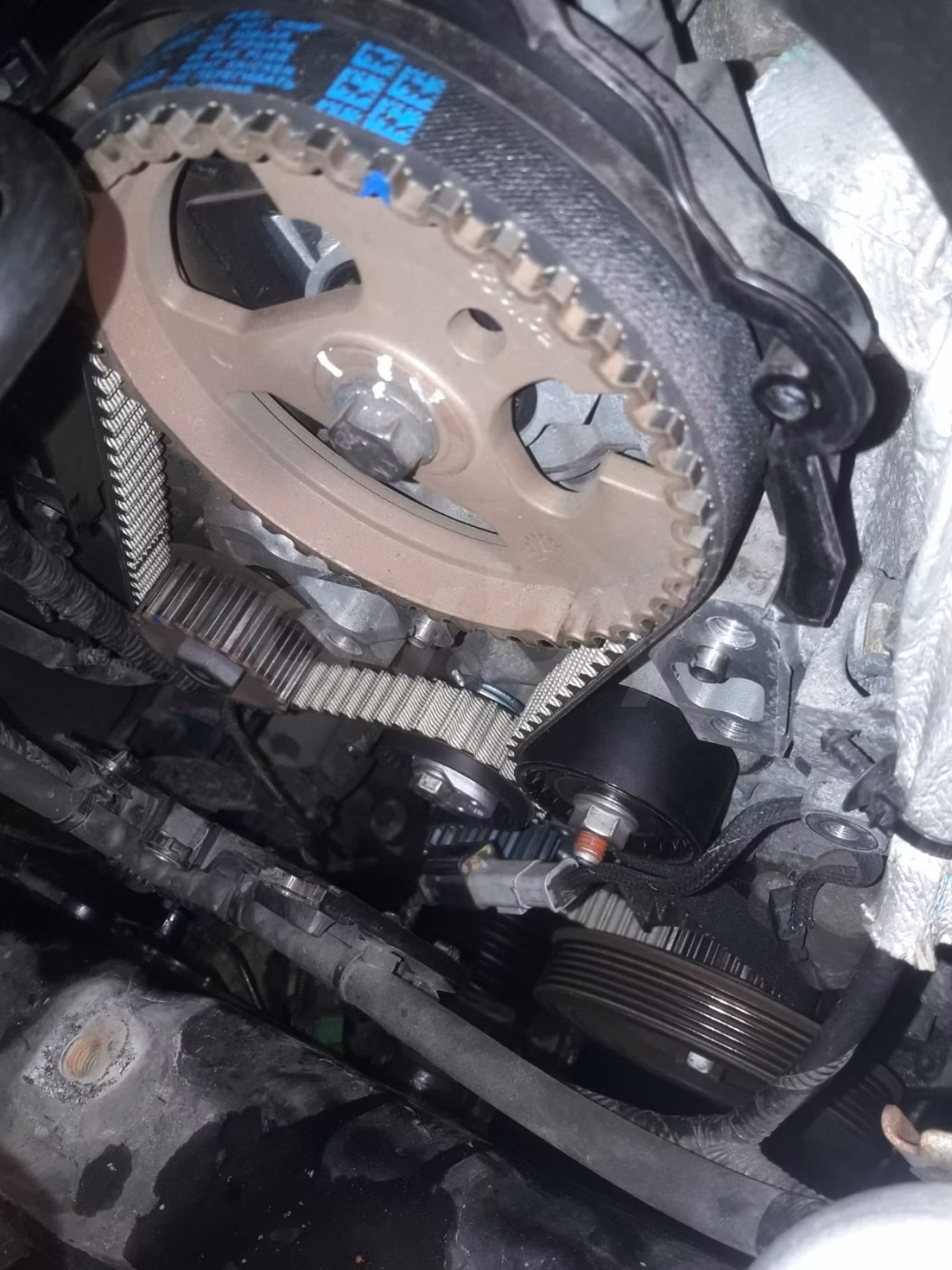 Ford C-MAX фото 18