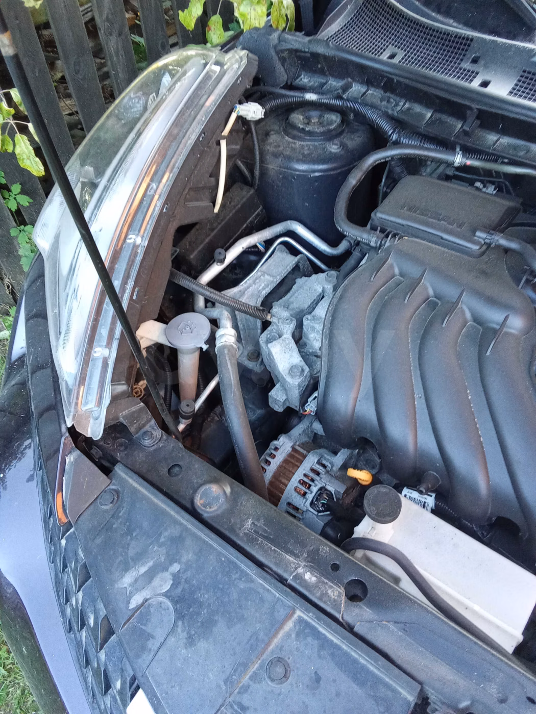 Nissan Juke фото 4