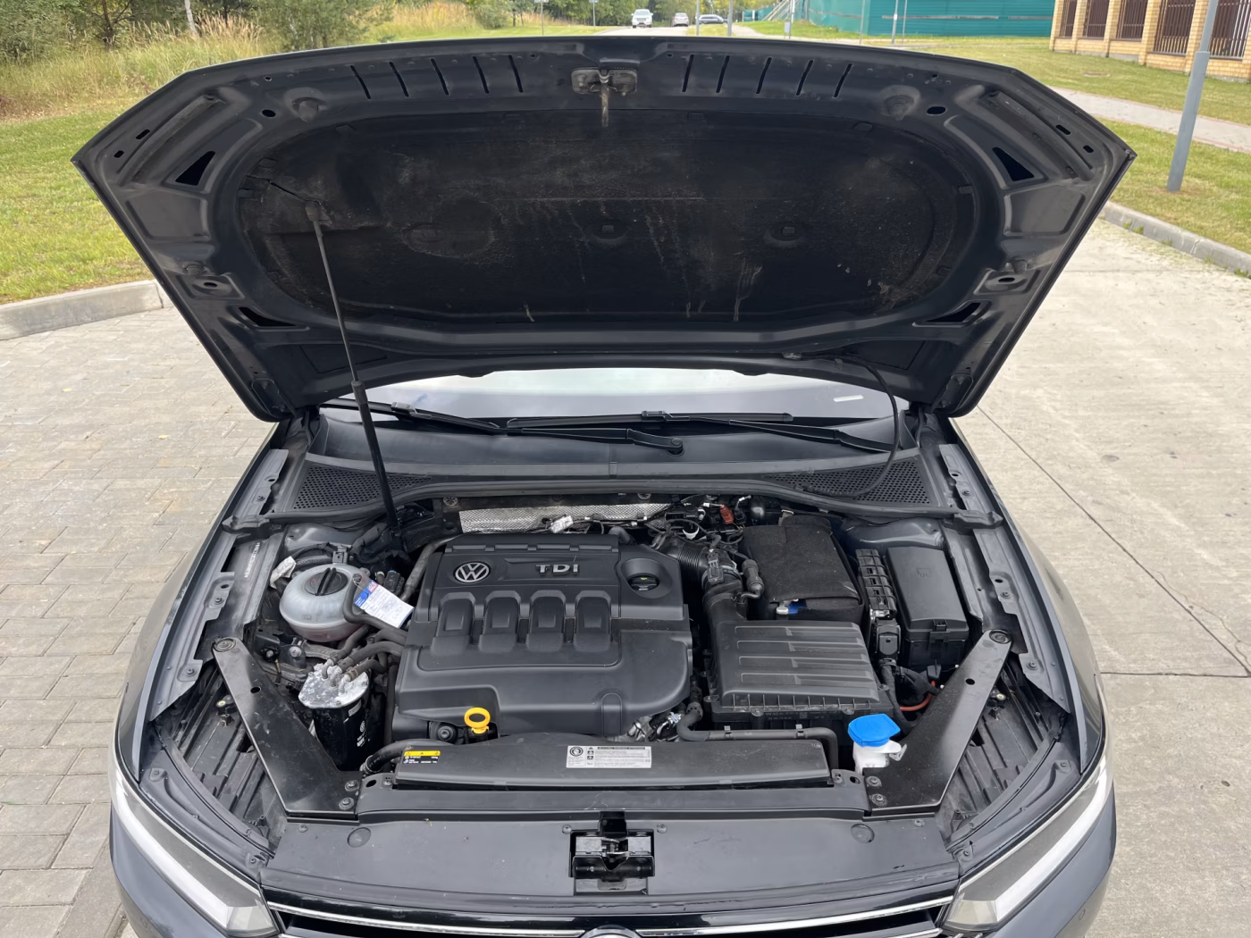 Volkswagen Passat фото 14