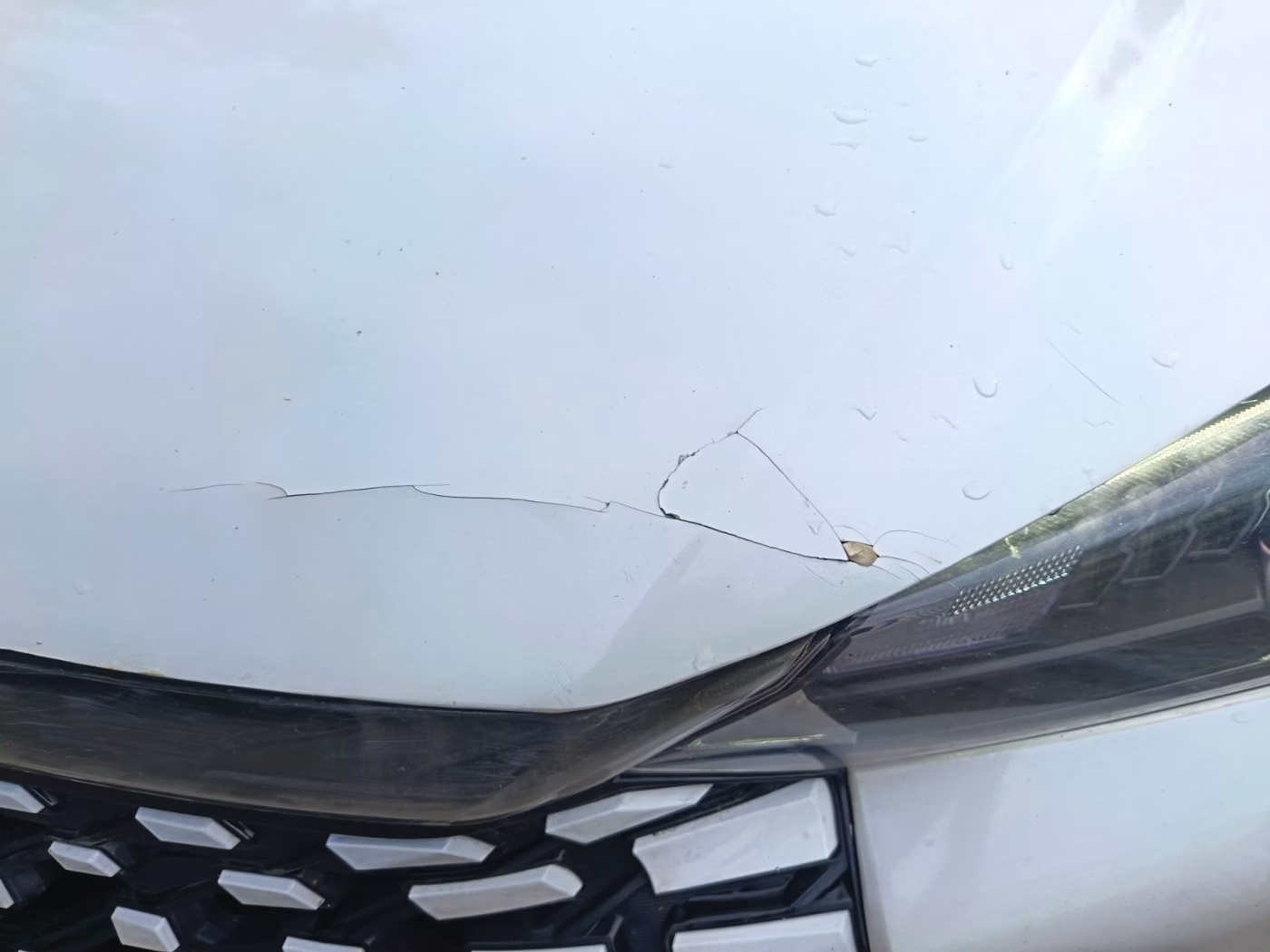 Dongfeng Aeolus Shine фото 13