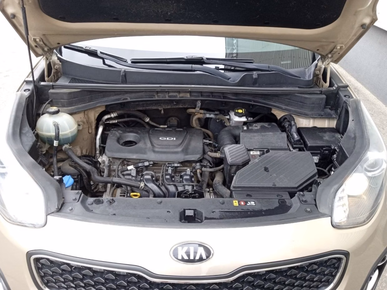 Kia Sportage фото 10