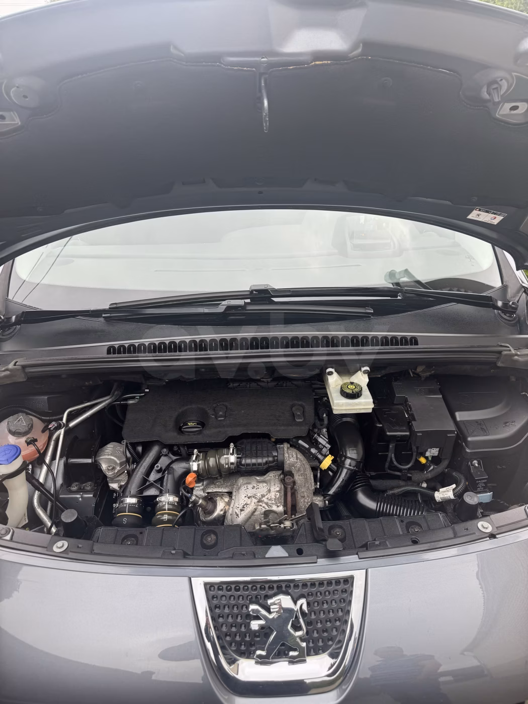 Peugeot 3008 фото 9