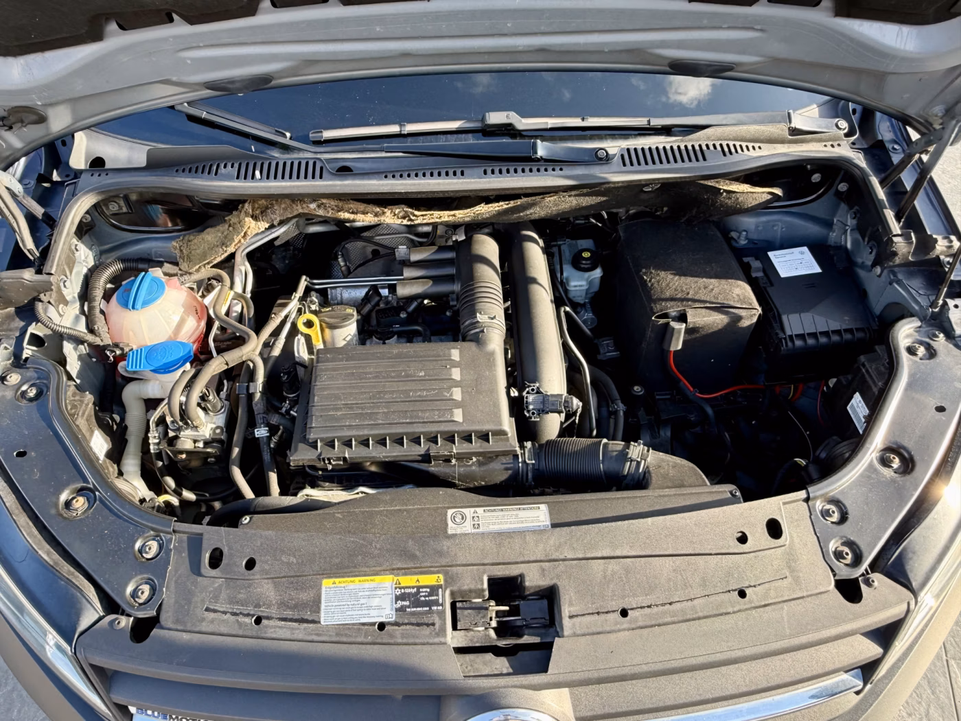 Volkswagen Caddy MAXI фото 28