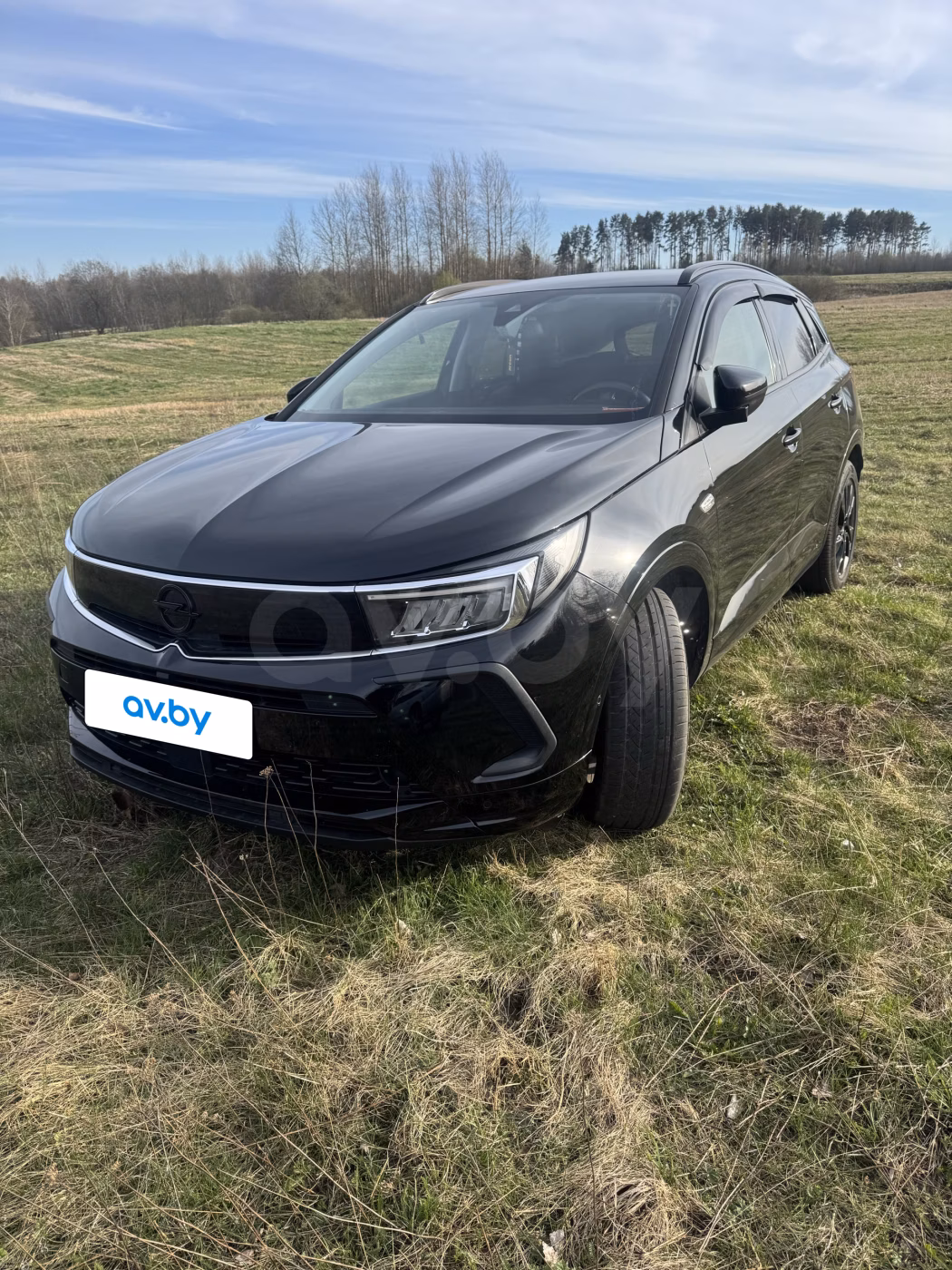 Opel Grandland X фото 7