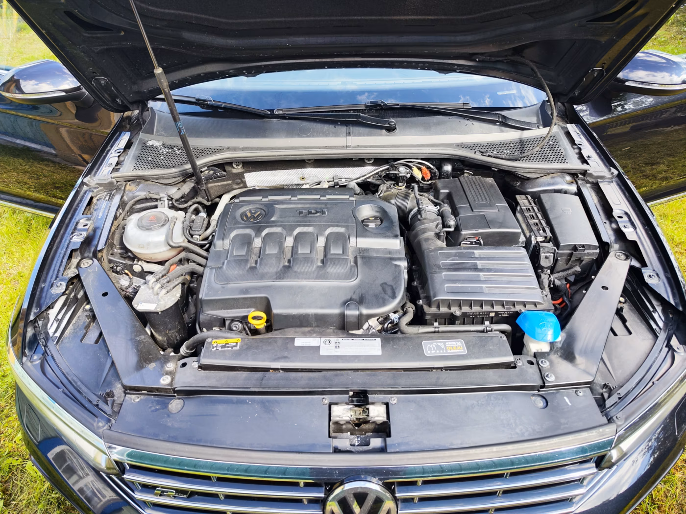 Volkswagen Passat фото 15