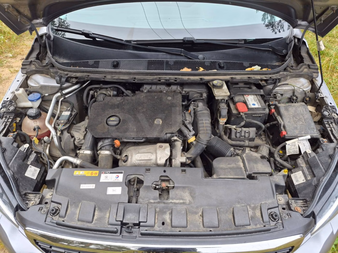 Peugeot 308 фото 12