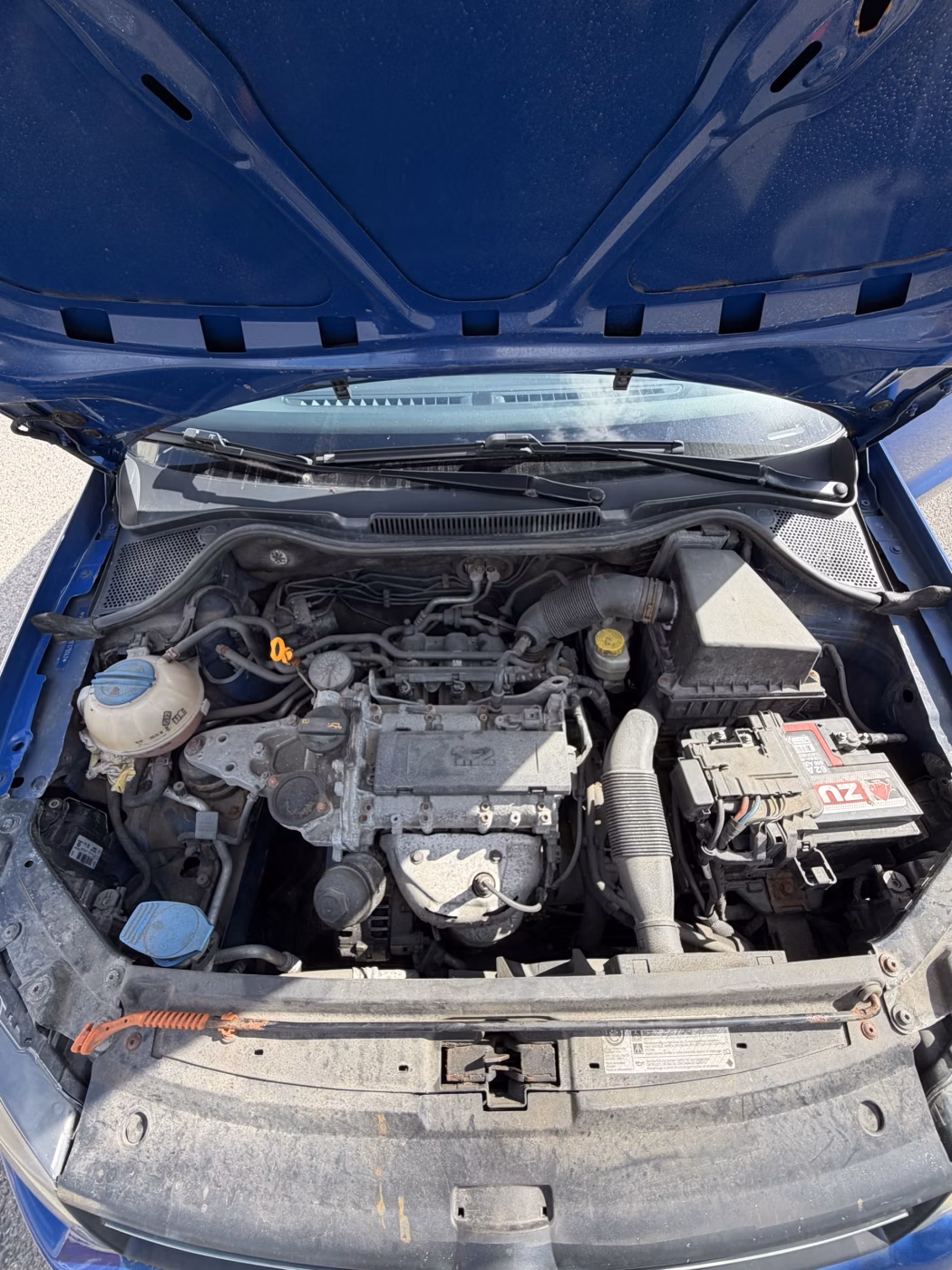 Volkswagen Polo фото 19