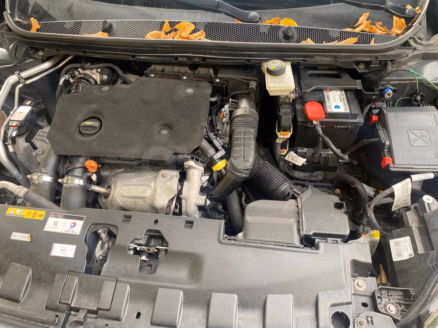 Peugeot 308 фото 17