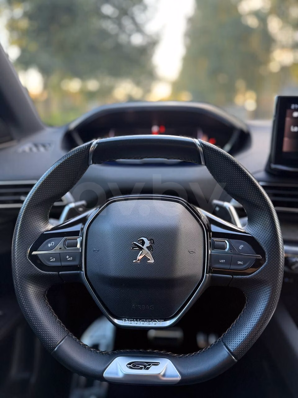 Peugeot 3008 фото 18