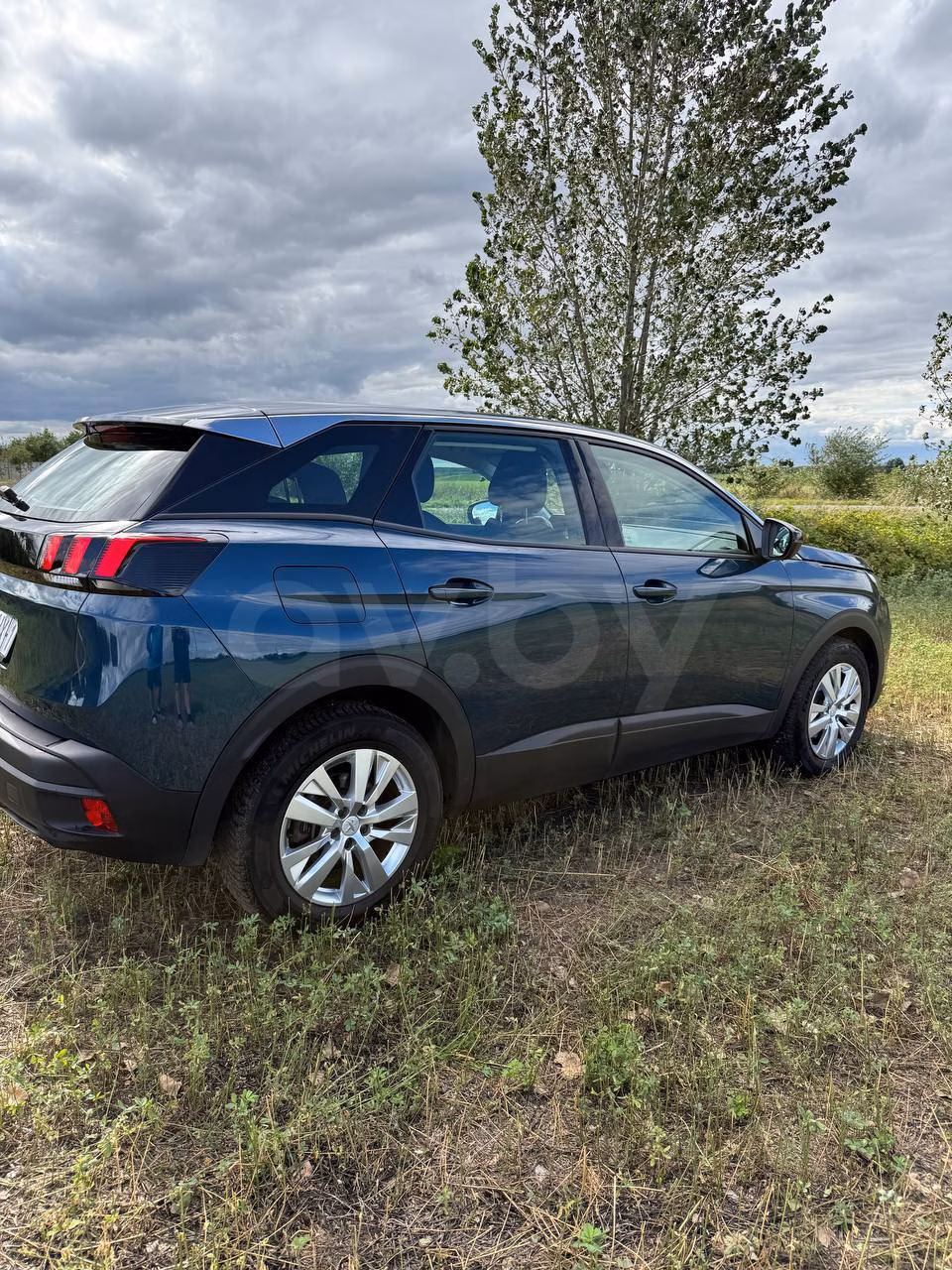 Peugeot 3008 фото 6