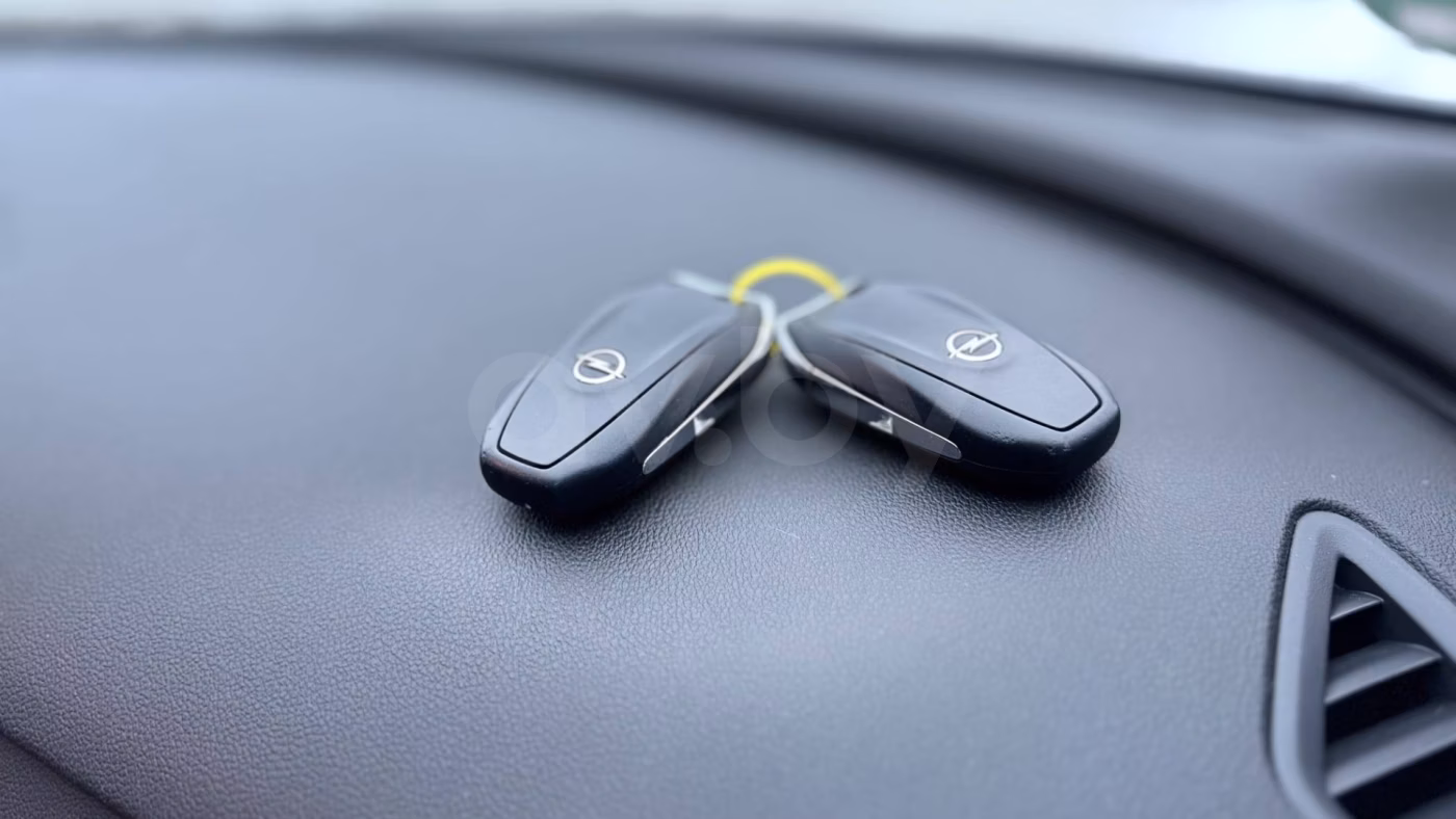 Opel Grandland X фото 18